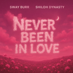 Never been in love (Sped up)