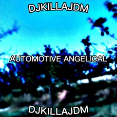 AUTOMOTIVE ANGELICAL 1.0