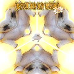 PIBBLE