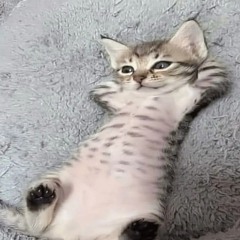 в зальчик