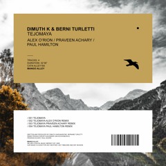 DIMUTH K & BERNI TURLETTI Tejomaya (Praveen Achary Remix)