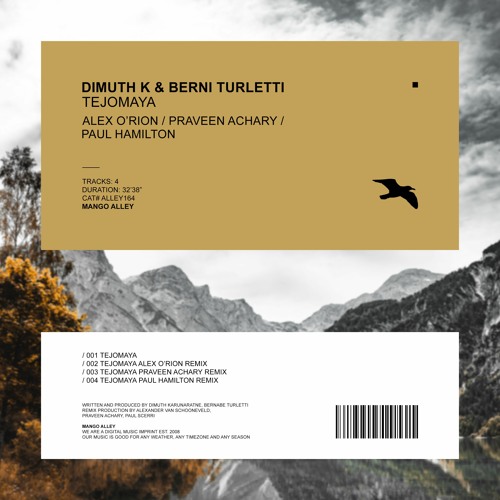 DIMUTH K & BERNI TURLETTI Tejomaya (Alex O'Rion Remix)