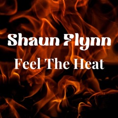 Shaun Flynn - Feel The Heat