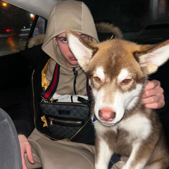 Dans nos veines (freestyle condamné)