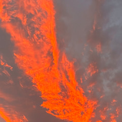 Realm (HeaVENLY FX)