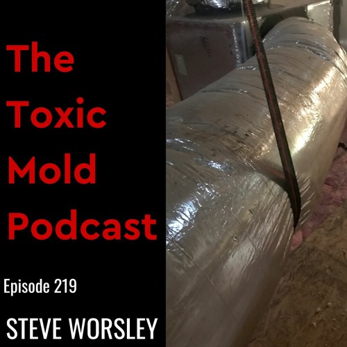 EP 219: Black Mold and HVAC Systems