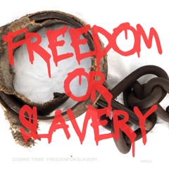 Freedom Or Slavery