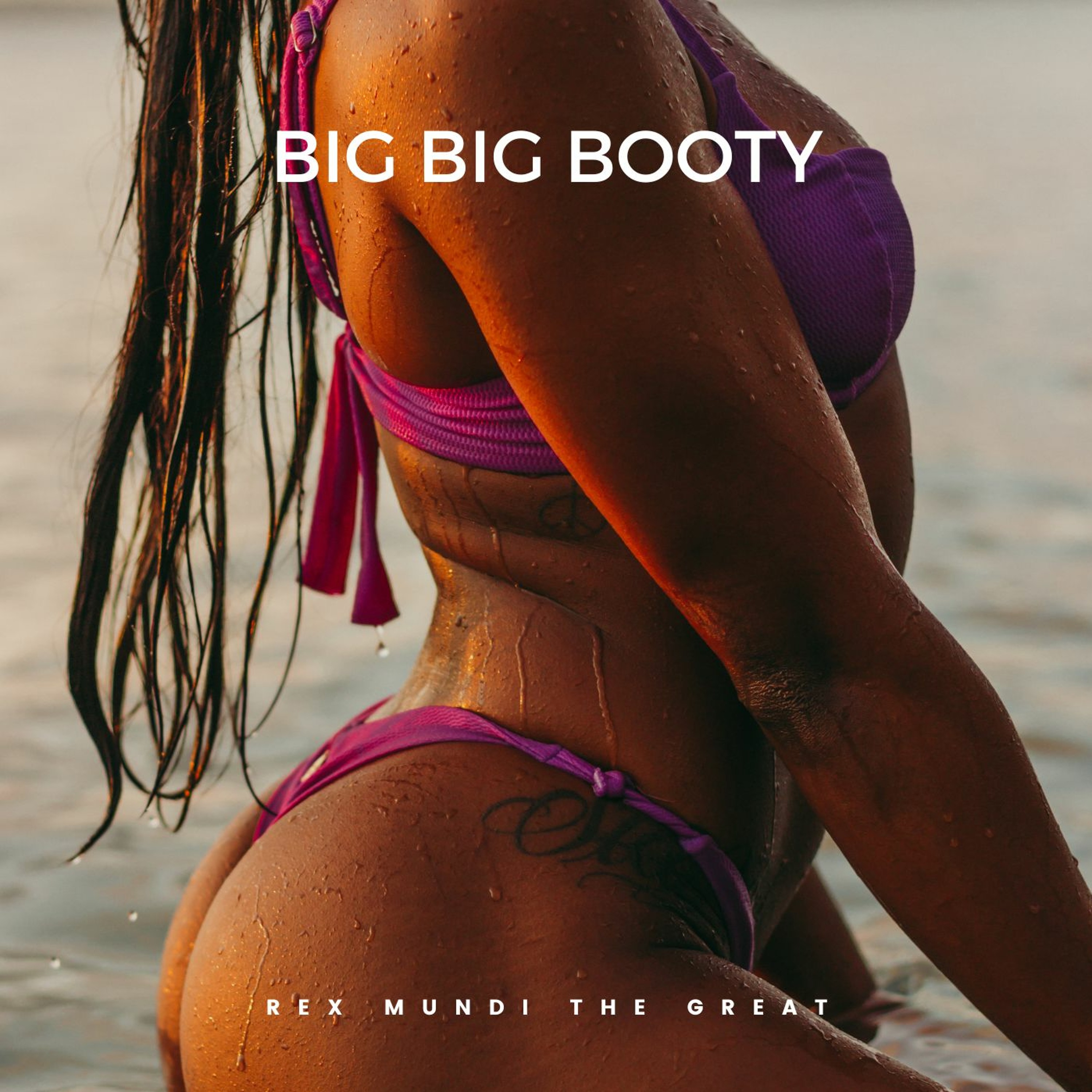 Big Big Booty (trunk shaker and rump shaker 2024 beat) episode artwork