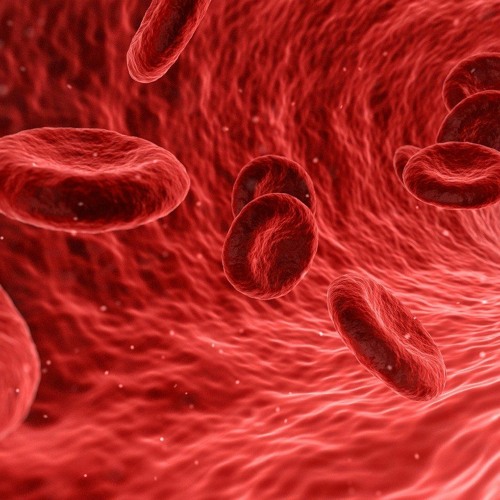 "Life-giving Rakta Dhatu or Blood tissue - Seven body tissue series" by Tiffany Ornelasw