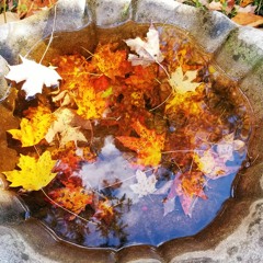 See The Light In Her Eyes