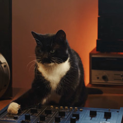 YOUPHORIA X CINEMATIC DJ CONTEST MIX - POLARITY