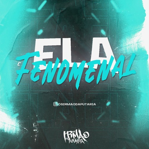 ELA E FENOMENAL - OS IRMÃO DA PUTARIA
