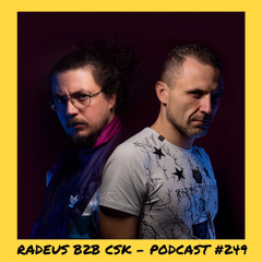 6̸6̸6̸6̸6̸6̸ | Radeus b2b CSK - Podcast #249