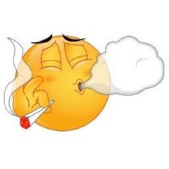 lifestyle
