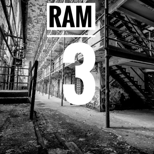 RAM 3