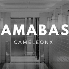 Camabass