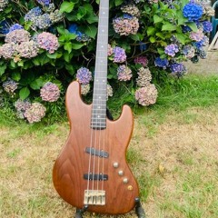 New Moon (bass only)- Barend Tromp