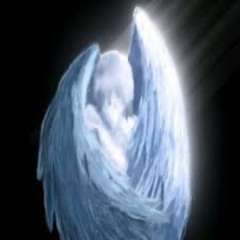 the cranberries - empty (jayjay's edit)