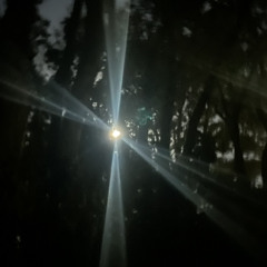 8:53 in akl city