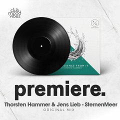 PREMIERE: Thorsten Hammer & Jens Lieb - SternenMeer (Original Mix) [Ametist Records]