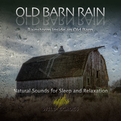 Calming Barn Roof Rain