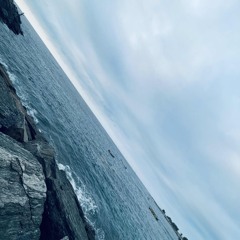 Relaxing on the Beach🏖️✌🏼