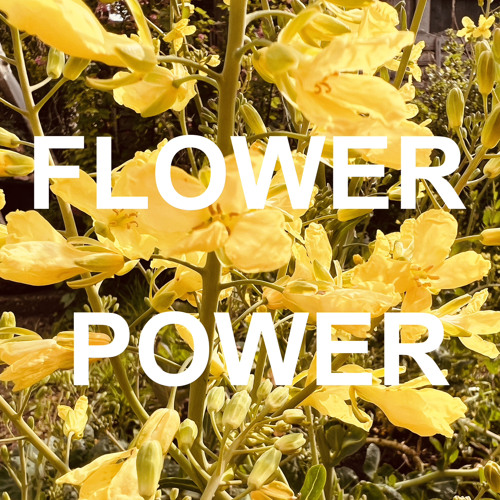 Stream Flower Power by Vinny Peculiar
