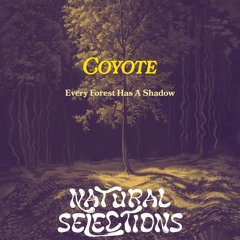 Coyote - Every Forest Has A Shadow EP [NS 001]