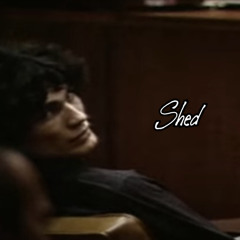 Shed (prod. Greaf)