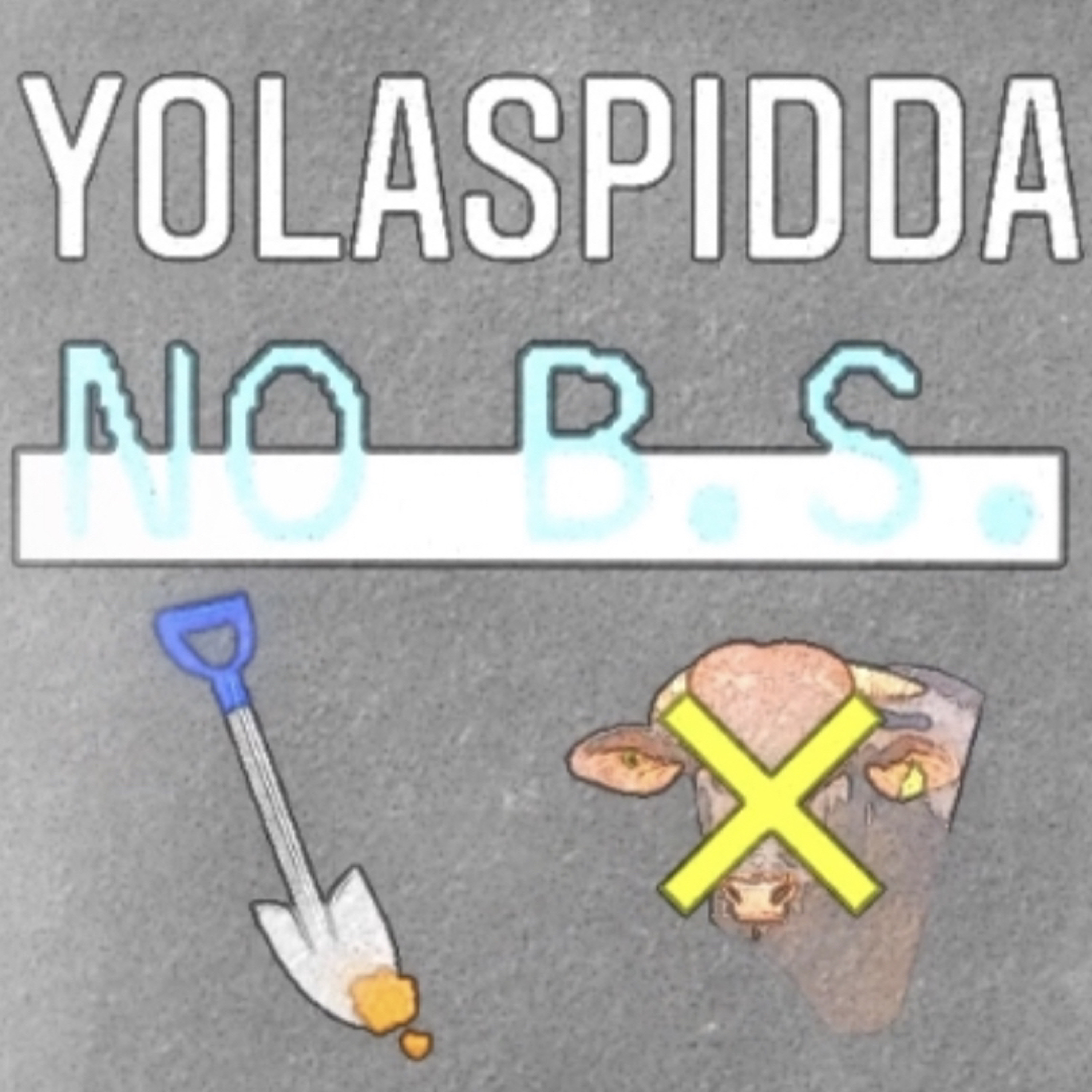 No B.S. episode artwork