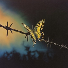 Blessed & Tested (Prod.Zoboii)