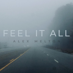 Alex Melton "Feel It All"