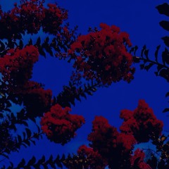 IN OUR ZONE (prod.nathandiorr)