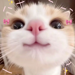 Chỉ Là Anh Không Biết (LVT Remix) - 9c Team