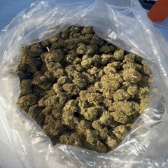 Zips X $xntanas  (prod.@holymesh) #manalife #LL