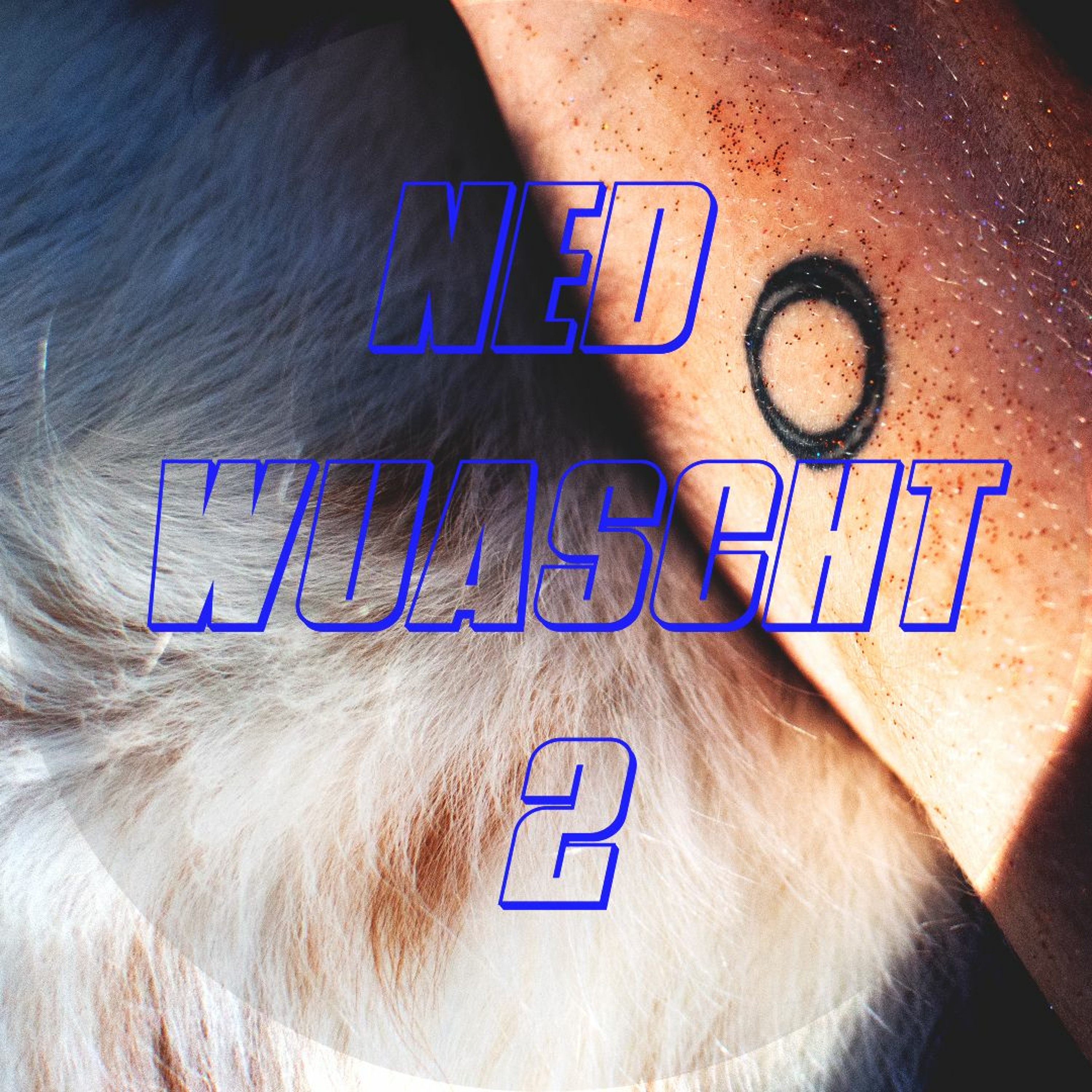 Ned Wuascht