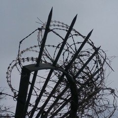 The park from far away