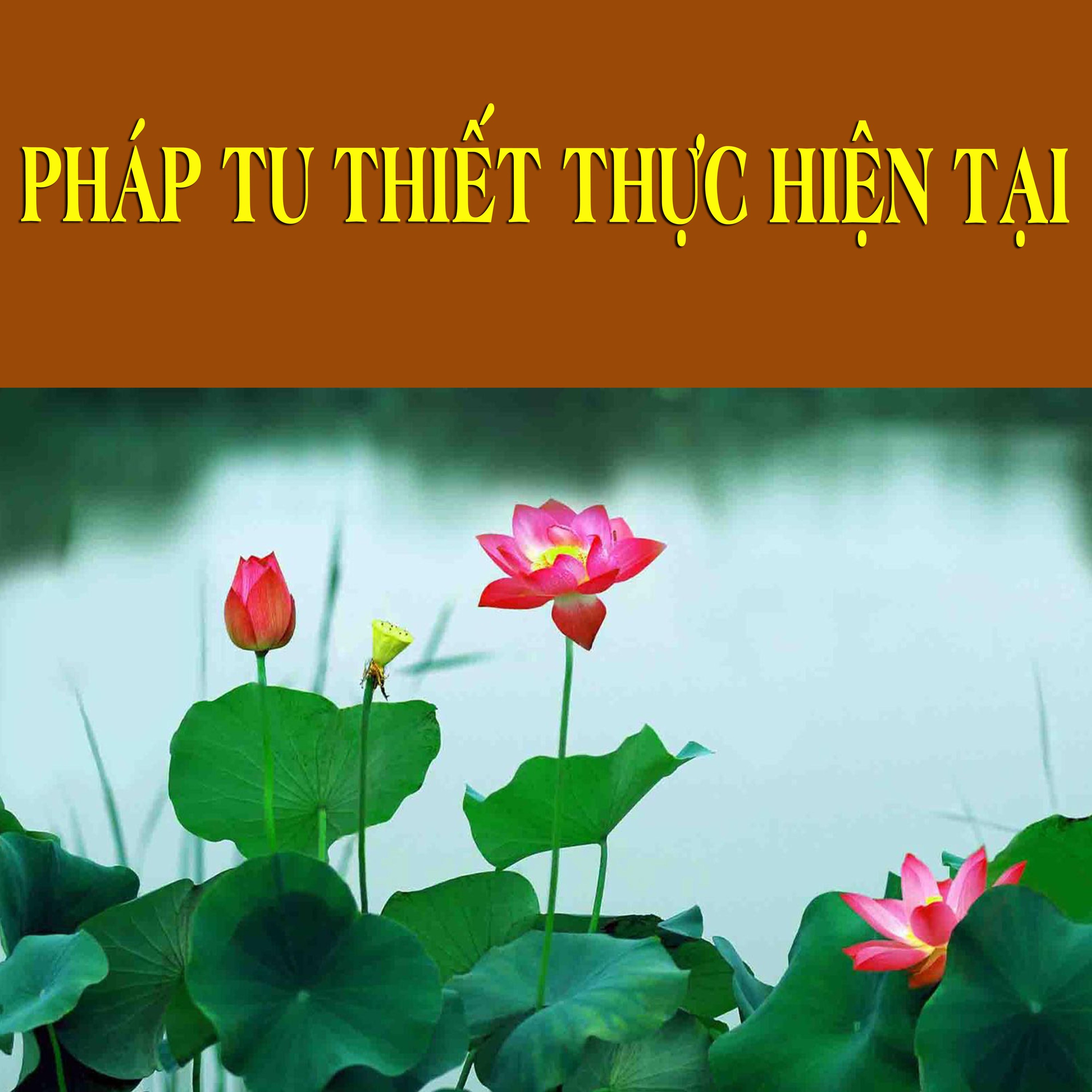 Pháp Tu Thiết Thực Hiện Tại episode artwork