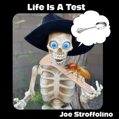 Life Is A Test