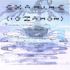 examine-mix-116-w-am9-2025-06-01
