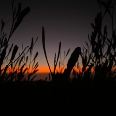 SUNSET TUNQUEN PRE 18 PART 1