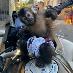 FUNK part 3 🤬🔞