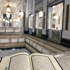 فَمَن يَنصُرُنِي مِنَ اللَّهِ إِنْ عَصَيْتُهُ ۖ | سورة هود ١٤٤٣هـ | القارئ أحمد النفيس