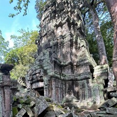 A little jungle mix - Frankie