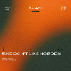 She Don't Like Nobody (Extended mix)
