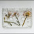 Artwork for spring-load Vol. IV