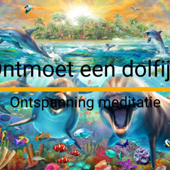 Meditatie  Een ontmoeting met een dolfijn
