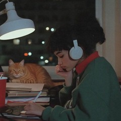 Selena - Chico Del Apartamento 512 (Sylvestre Lofi Remix)