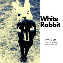 White Rabbit