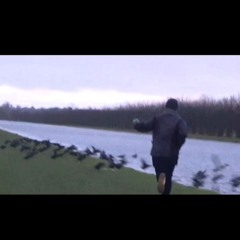 Rain In Egypt